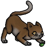 Sorrelkit.K.byMohn.png (31 KB) Junges