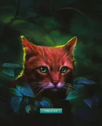 TUG23.Pinestar.png (1,73 MB) Kiefernstern in The Ultimate Guide (2023)