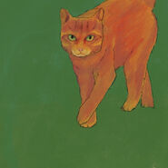 Sammy.wis.jpg (88 KB) Sammy/Feuerpfote aus der Aktion "Wo ist Sammy?"