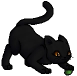 Nightcloud.Kit.png (9 KB) Junges