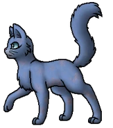 Mistystar.A.byTopas.png (35 KB) Anführerin