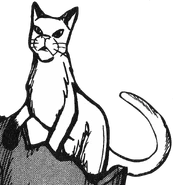 Schwarzstern.Manga.SpA-6.png (281 KB) Schwarzstern in Tallstar's Revenge