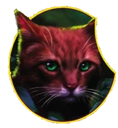 Kiefernstern auf dem Cover von Legends of the Clans[37][38]