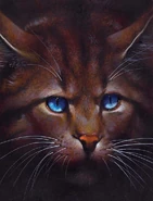 CCHawkfrost.jpg (316 KB) Habichtfrost in Von Helden und Verrätern und The Ultimate Guide (2013)