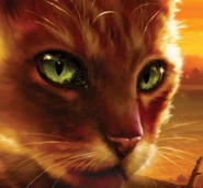 Feuerstern auf dem Reprint-Cover von Sunset[147]