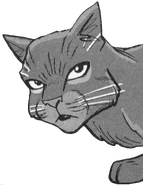 Habichtschwinge in Hawkwing's Journey