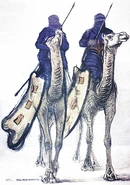 Touareg-paul-elie-dubois.gif (126 КБ)