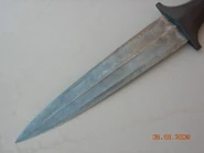 DSCN0353.jpg (51 КБ)