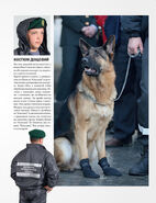 33368.large.jpg (435 Кб) 33368.large