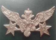 2-я версия грба перяника, введенная в 1881 г. Использовалась параллельно с предыдущей версией. Обратите внимание, что здесь инициалы Николы I (Н.I.) размещены раздельно в двух звездах.