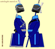 TDun807.gif (10 КБ) Схема зимней парадной формы 1807 г.