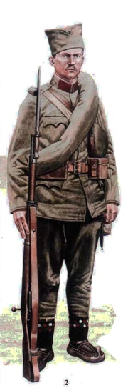 Младший сержант 2-го пехотного полка "Князь Михаило" (т. н. Железный полк) Моравской дивизии первой очереди, Лесница, август 1914 года