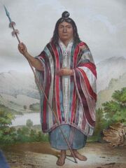 Chiefaraucanien