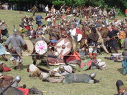 Vikings fight