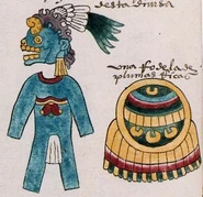 Тлакочкалькатли3.jpg (52 КБ)