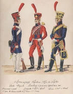 Униформа конной артиллерии в 1806 - 1808 гг.