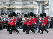 Guard.mounting.buck.palace.arp