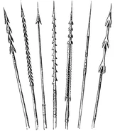 Стрелы с Соломоновых островов.