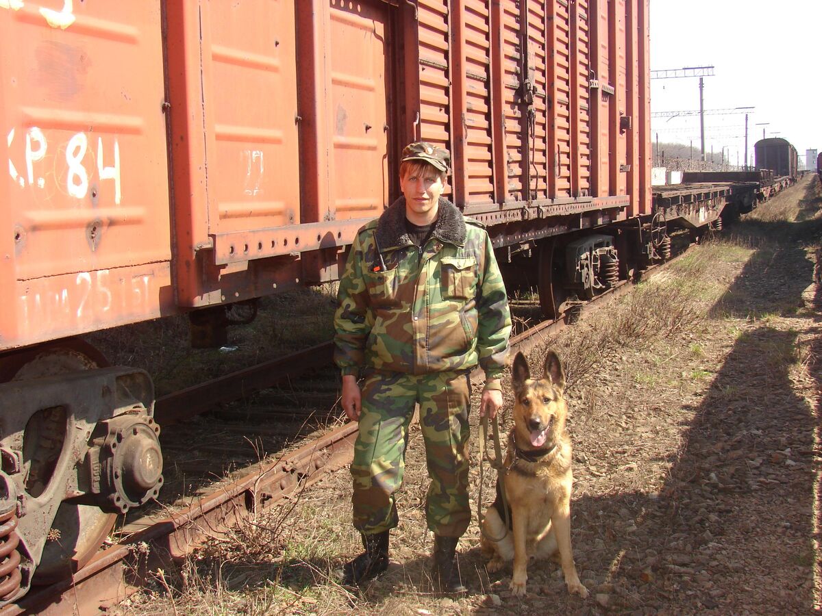 Военизированная охрана. Военизированная охрана ж.д. транспорта Украины. Военизированная охрана ВОХР. Ведомственная (военизированная) охрана железнодорожного транспорта. ВОХР РЖД.