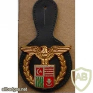 Эмблема президентской гвардии Комор.