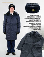 33377.large.jpg (420 Кб) 33377.large