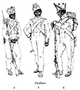 Фузилеры 7-го линейного полка, 1811 - 1814 гг.