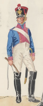 Погонщик, артиллерия 8-го линейного полка, 1813 - 1815 гг.