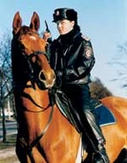 Конная милиция в 2000-х годах.