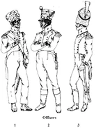 Офицеры 7-го линейного полка, 1811 - 1814 гг.