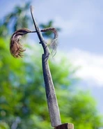 Mil·am.jpg (17 КБ)