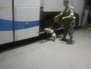 ГПСУ33.jpg (105 Кб) ГПСУ33