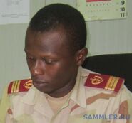 Post-291-1365240391.jpg (73 КБ) Капитан медицинской службы армии Буркина Фасо.