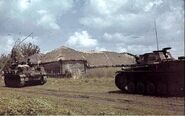 Bundesarchiv Bild 169-0283, Russland, Kalmückien, Panzer II