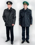 33353.large.jpg (402 Кб) 33353.large