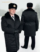 33378.large.jpg (388 Кб) 33378.large