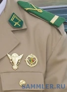 Петлицы и погоны офицера Малийской армии. Для всех военнослужащих сухопутных войск, установлены погоны и петлицы зеленого цвета. Нашивка из тесьмы в форме буквы "V" с петлей на конце — "фирменный" знак принадлежности к ВС Мали. Зеленые петлицы со скрещенными винтовками также носят все военные от рядового до полковника, независимо от рода войск. Принадлежность к роду войск определяется знаком, который военные носят на правом кармане.