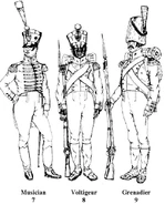 Музыкант, вольтижер и гренадер 7-го линейного полка, 1811 - 1814 гг.