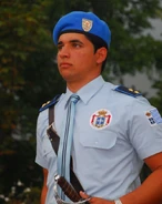 Guardia-2.jpg (105 КБ)