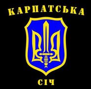 Carpathian sich sent volunteer aid to the ato area preview medium