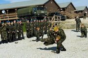 Martial arts demonstration, Ukrainian military