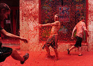 Tomatina-2