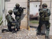 "" - спецподразделение, сформированное на основе "Сайерет Маткаль" и специализирующееся на освобождении заложников.