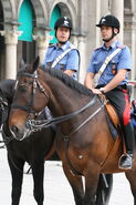 Carabinieri a cavallo