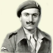 5343780 orig.jpg (40 КБ)