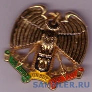 Эмблема ВВС на фуражку (берет): гриф, держащий в когтях щит с изображением морды бегемота и двумя натянутыми луками по бокам.