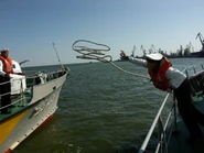 Photo gallery 20120510 172818 1336660098 МОРСКАЯ.jpg (470 Кб) Photo gallery 20120510 172818 1336660098 МОРСКАЯ