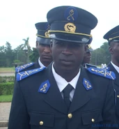 Военнослужащий сухопутных войск с эмблемой в виде скрещенных винтовки, мотыги и пчелы, которая носится на тулье фуражки, петлицах и погонах.