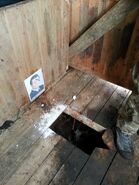Туалеты в зоне АТО у бойцов 11 батальона были оснащены портретами бывшего президента Украины Виктора Януковича.