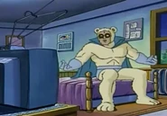 Биполярный медведь у себя дома.