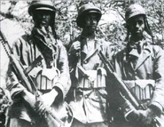 Kolonialne9.jpg (62 КБ)